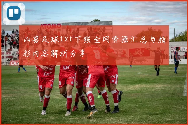 凶兽足球txt下载全网资源汇总与精彩内容解析分享