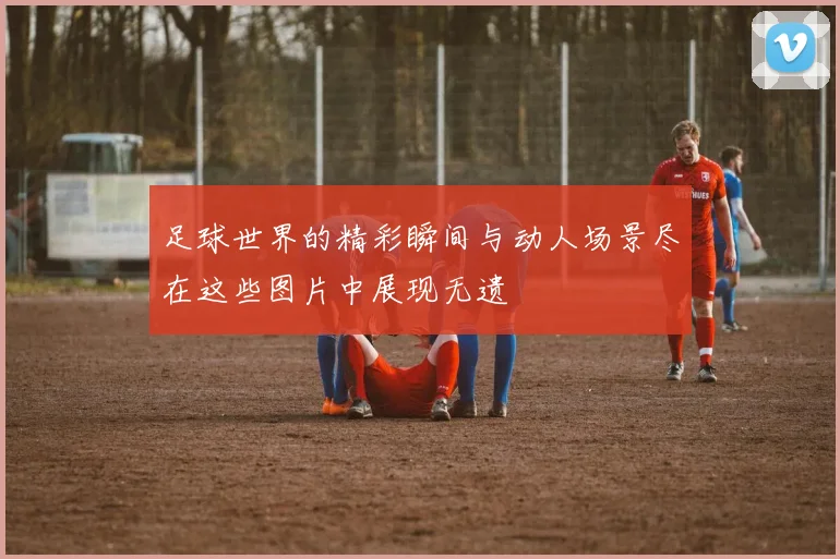 足球世界的精彩瞬间与动人场景尽在这些图片中展现无遗