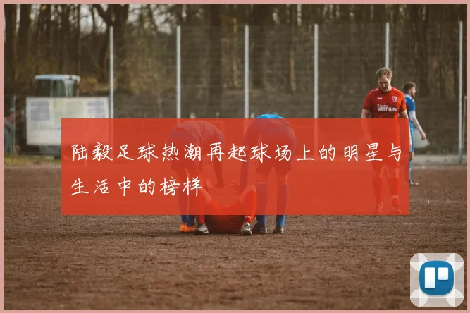 陆毅足球热潮再起球场上的明星与生活中的榜样